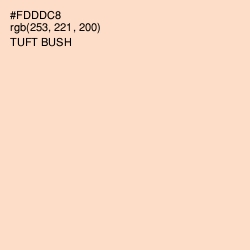 #FDDDC8 - Tuft Bush Color Image